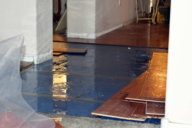 Professional Burst Pipe Cleanup technician working in Estillfork, AL